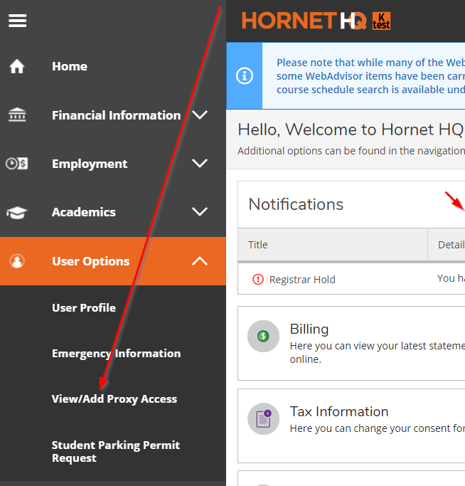 Step 3 in the reauthorizing a proxy process where the user selects the "View/Add Proxies"option available under the User Options tab in the HornetHQ main menu.